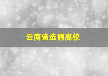 云南省选调高校