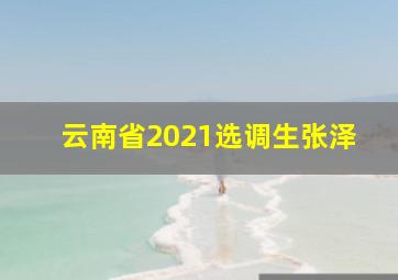 云南省2021选调生张泽