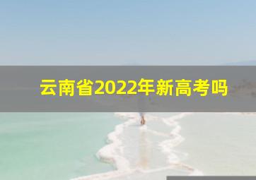 云南省2022年新高考吗