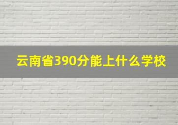 云南省390分能上什么学校