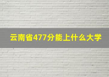 云南省477分能上什么大学