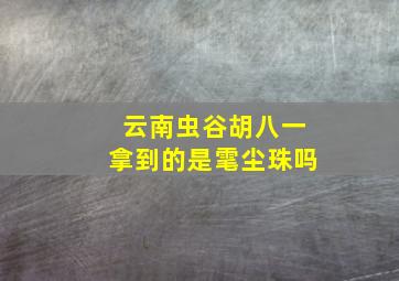 云南虫谷胡八一拿到的是雮尘珠吗