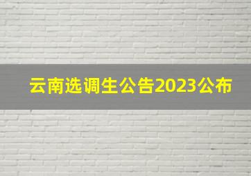 云南选调生公告2023公布