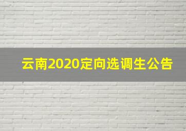 云南2020定向选调生公告