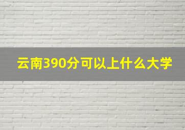 云南390分可以上什么大学