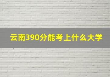 云南390分能考上什么大学