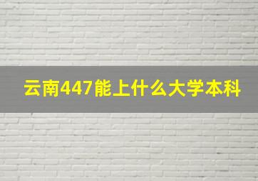 云南447能上什么大学本科