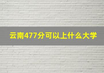 云南477分可以上什么大学