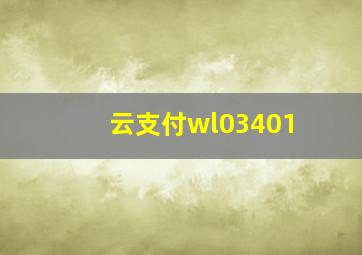 云支付wl03401