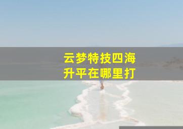 云梦特技四海升平在哪里打