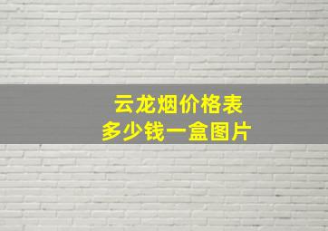 云龙烟价格表多少钱一盒图片