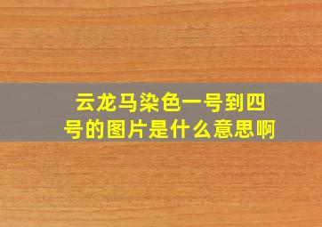 云龙马染色一号到四号的图片是什么意思啊