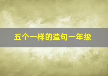 五个一样的造句一年级