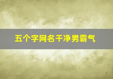 五个字网名干净男霸气