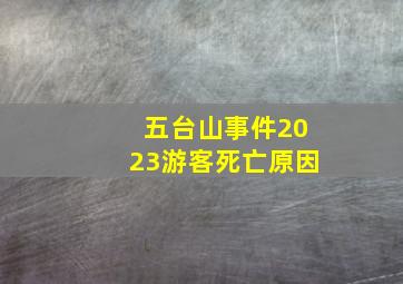 五台山事件2023游客死亡原因