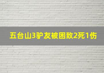 五台山3驴友被困致2死1伤