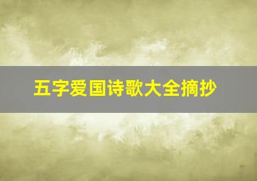 五字爱国诗歌大全摘抄