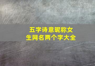 五字诗意昵称女生网名两个字大全