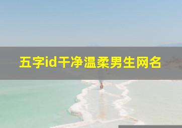 五字id干净温柔男生网名