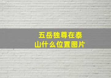 五岳独尊在泰山什么位置图片