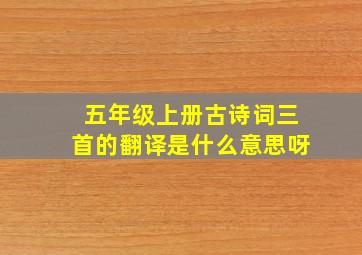 五年级上册古诗词三首的翻译是什么意思呀