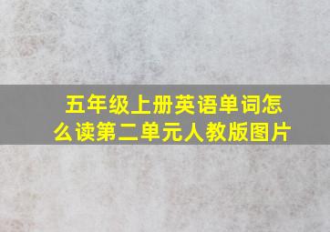 五年级上册英语单词怎么读第二单元人教版图片