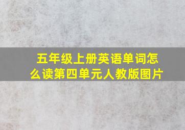 五年级上册英语单词怎么读第四单元人教版图片