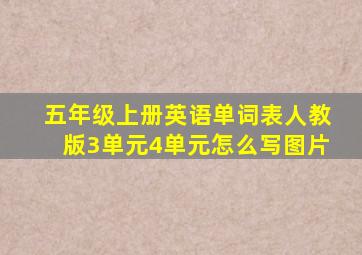 五年级上册英语单词表人教版3单元4单元怎么写图片