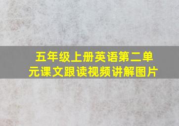 五年级上册英语第二单元课文跟读视频讲解图片