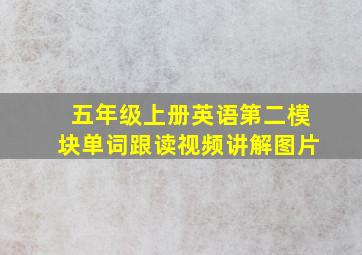 五年级上册英语第二模块单词跟读视频讲解图片