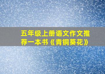 五年级上册语文作文推荐一本书《青铜葵花》