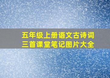 五年级上册语文古诗词三首课堂笔记图片大全