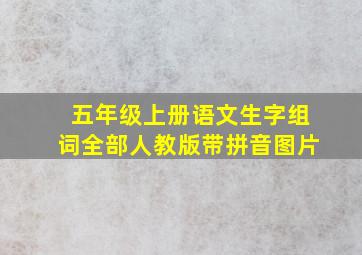 五年级上册语文生字组词全部人教版带拼音图片