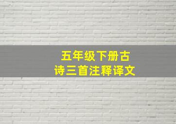 五年级下册古诗三首注释译文