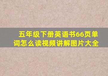 五年级下册英语书66页单词怎么读视频讲解图片大全