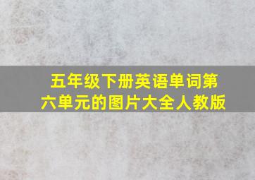 五年级下册英语单词第六单元的图片大全人教版