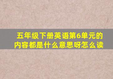 五年级下册英语第6单元的内容都是什么意思呀怎么读