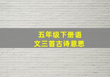 五年级下册语文三首古诗意思