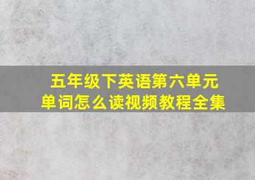 五年级下英语第六单元单词怎么读视频教程全集