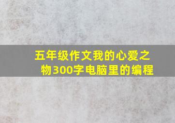 五年级作文我的心爱之物300字电脑里的编程