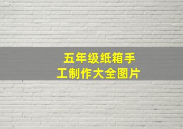 五年级纸箱手工制作大全图片