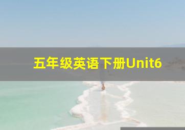 五年级英语下册Unit6