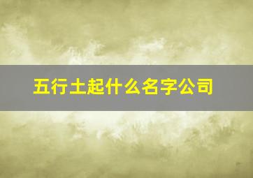 五行土起什么名字公司