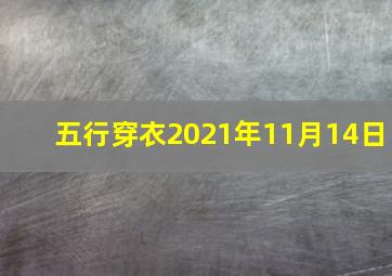 五行穿衣2021年11月14日