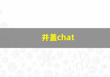 井盖chat