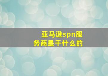 亚马逊spn服务商是干什么的