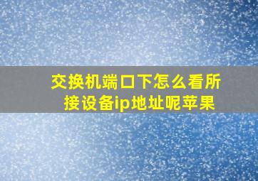 交换机端口下怎么看所接设备ip地址呢苹果