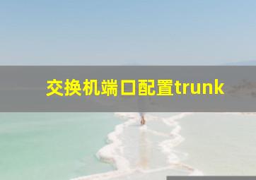 交换机端口配置trunk