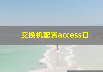 交换机配置access口