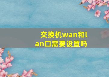 交换机wan和lan口需要设置吗